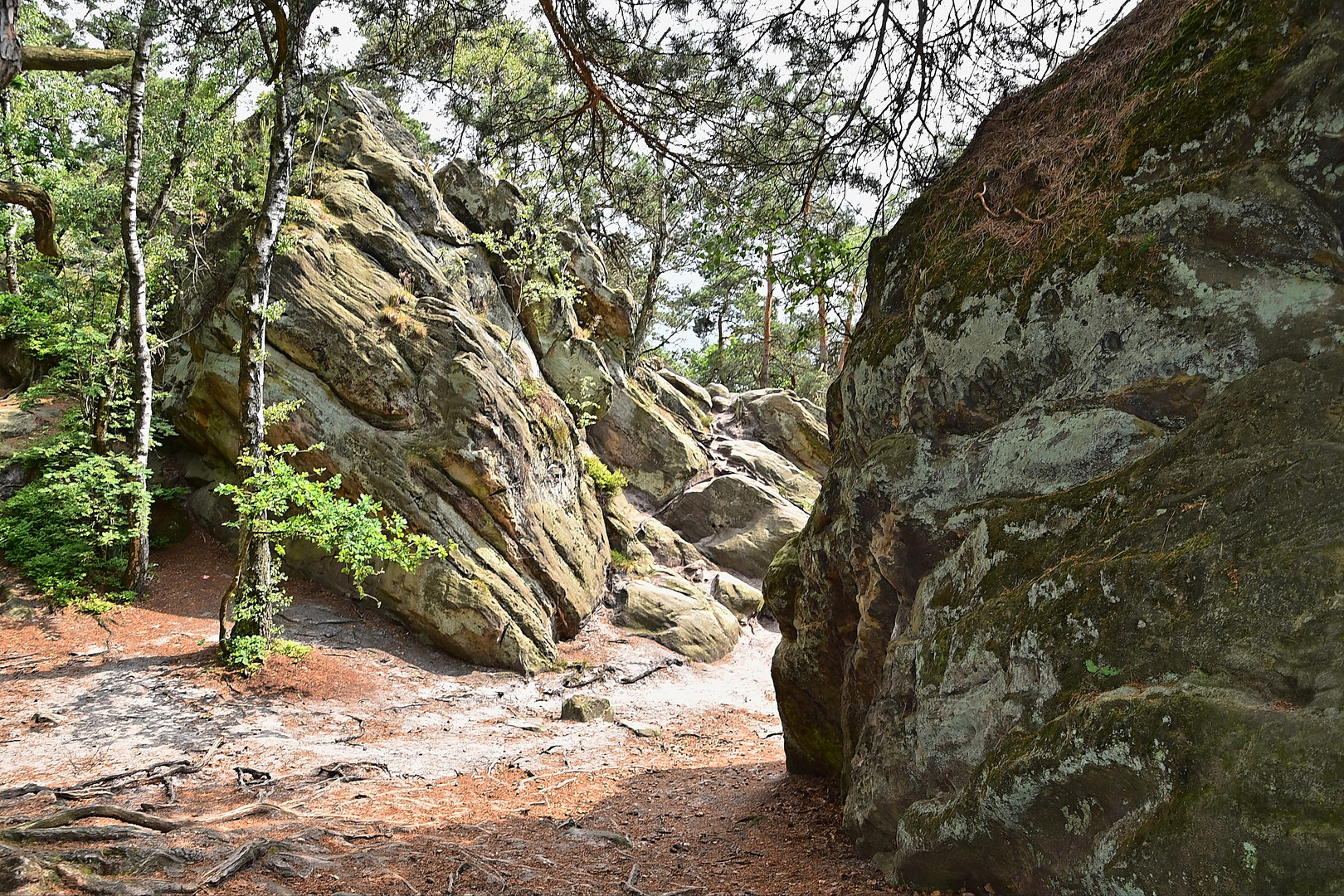 Dörenther Klippen / Ibbenbüren