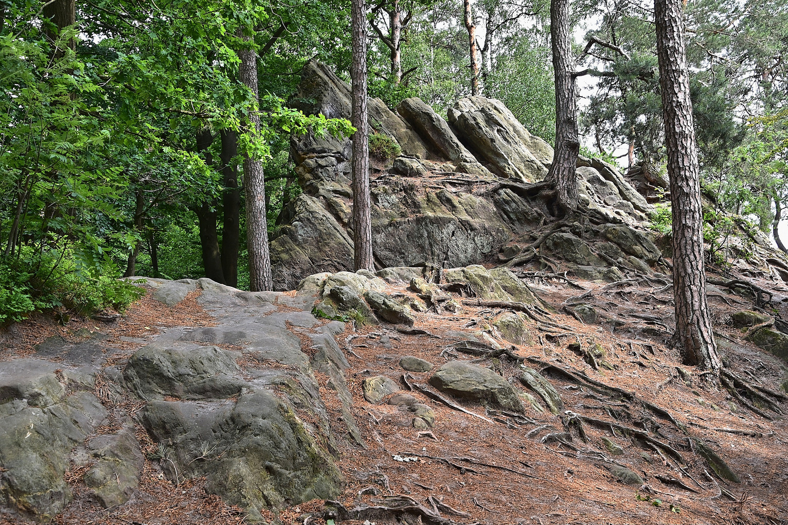 Dörenther Klippen / Ibbenbüren