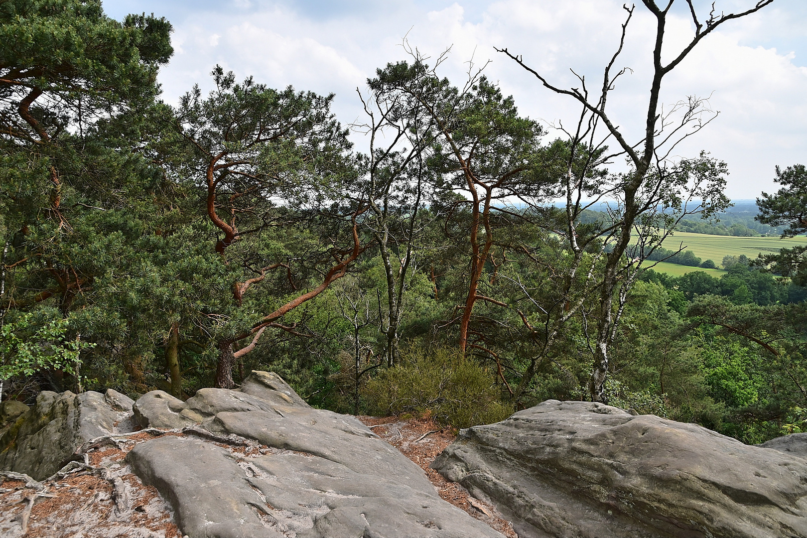 Dörenther Klippen / Ibbenbüren