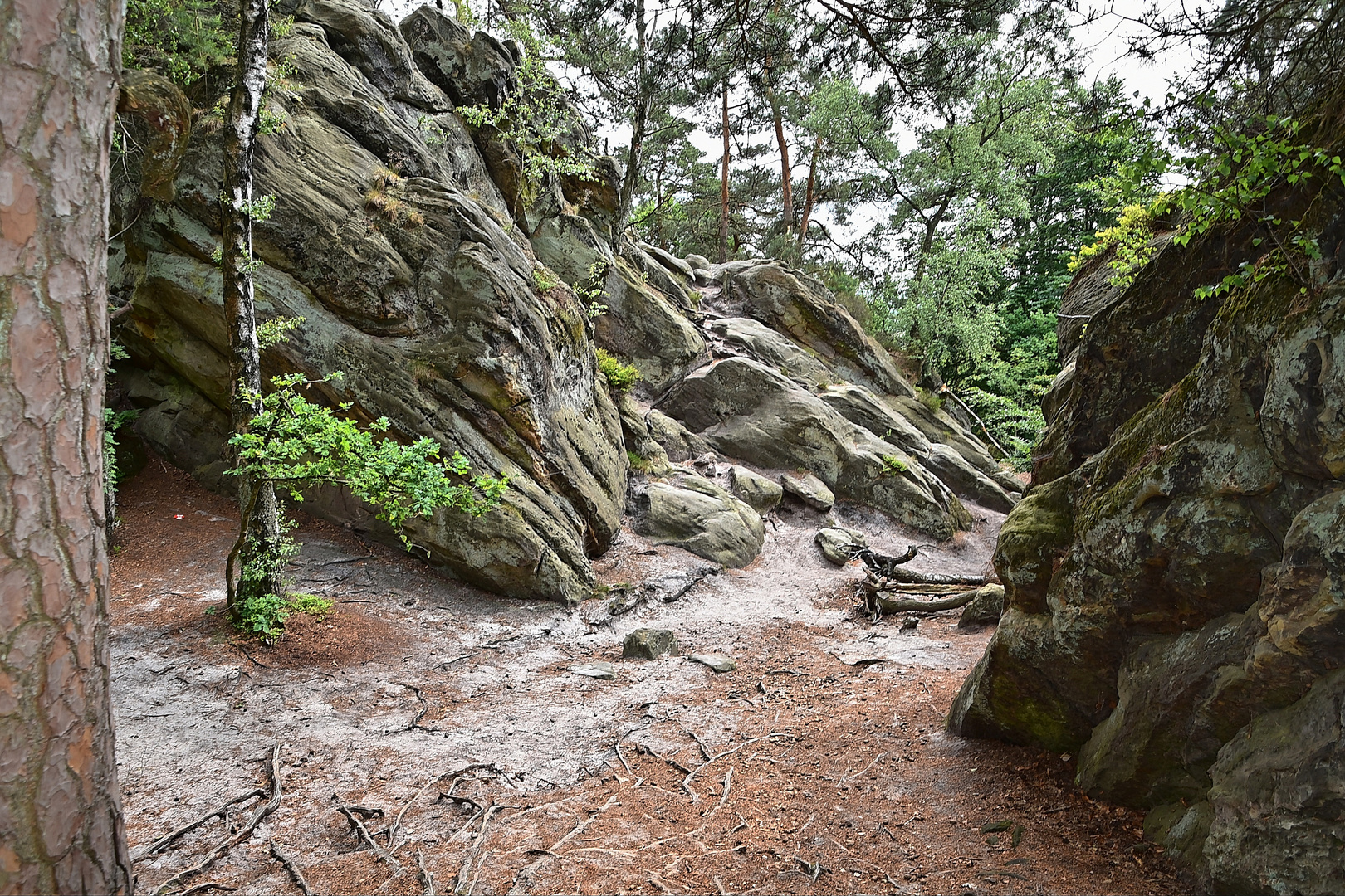 Dörenther Klippen / Ibbenbüren