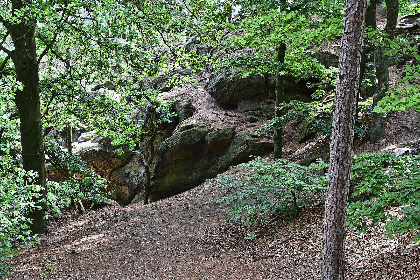 Dörenther Klippen / Ibbenbüren