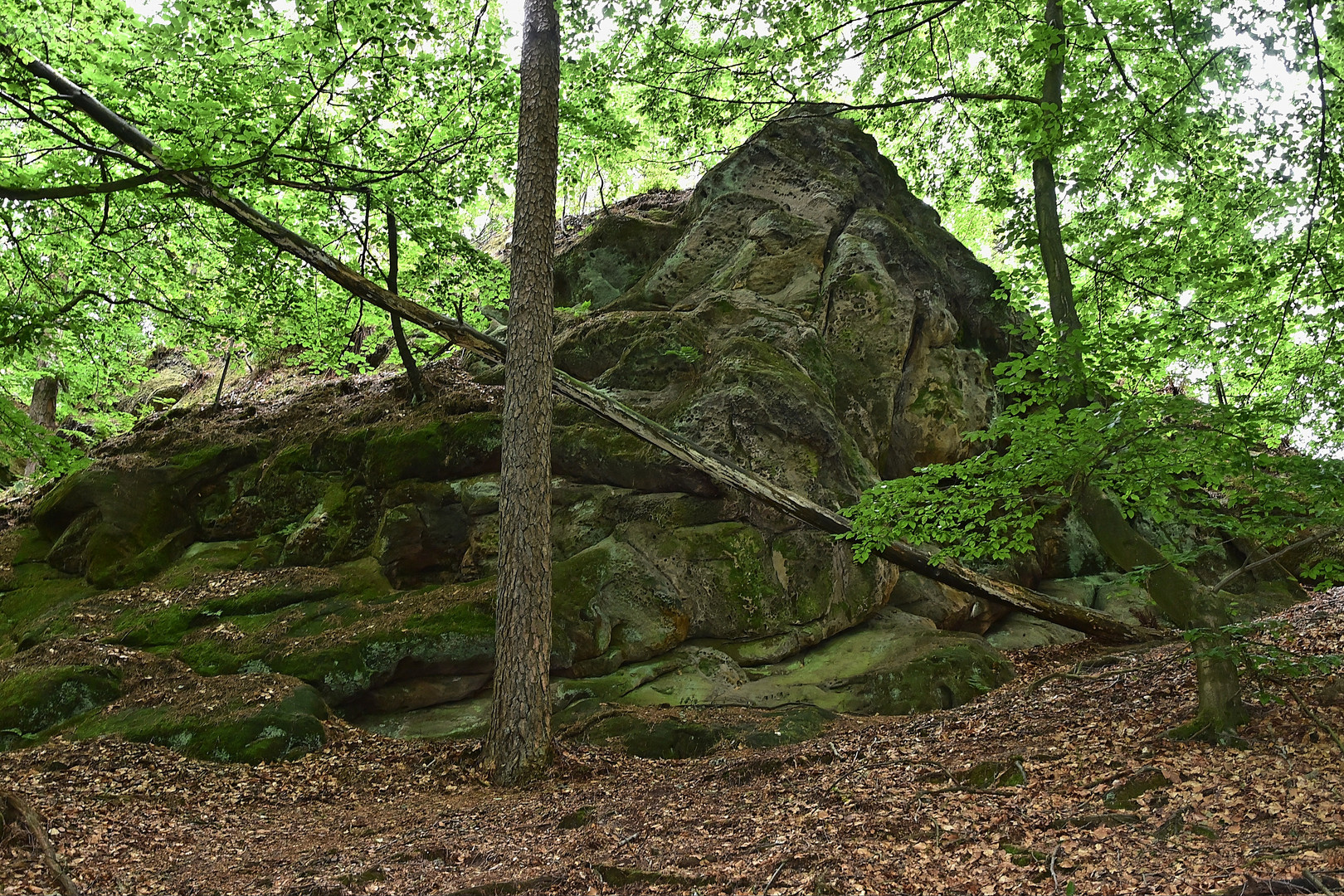 Dörenther Klippen / Ibbenbüren