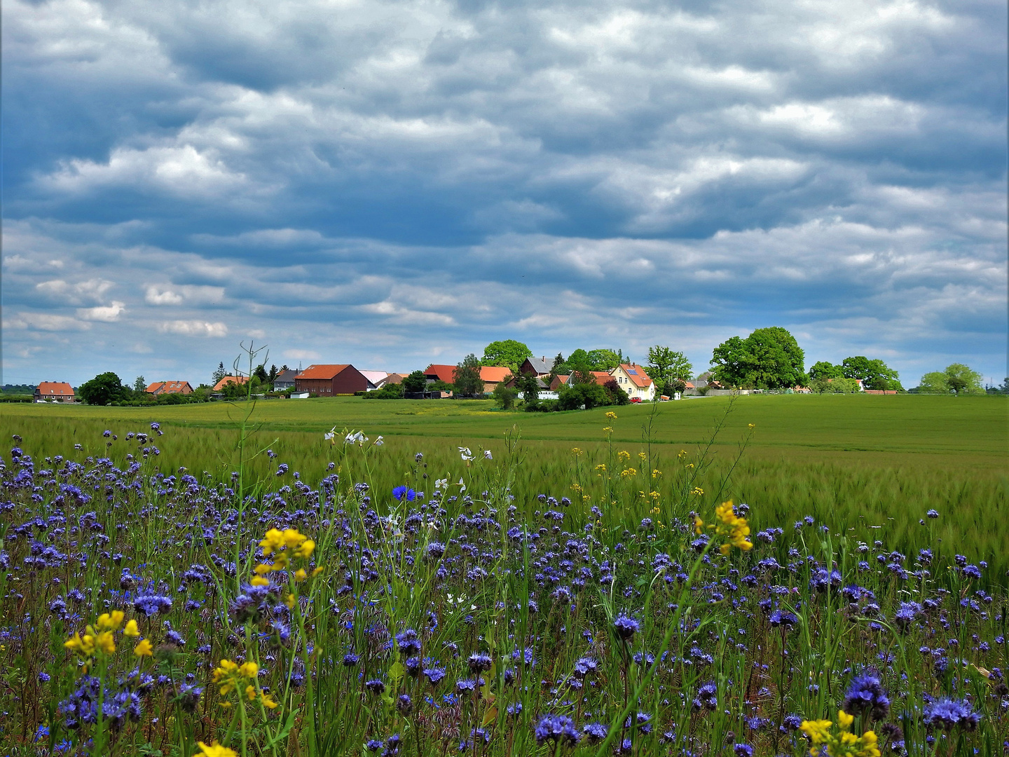 Dörfliche Idylle.