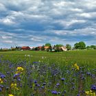 Dörfliche Idylle.