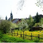 Dörfliche Idylle im Frühling ,