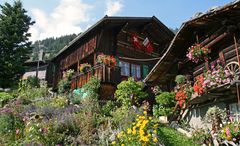 Dörfliche Idylle in Mürren