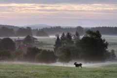 dörfliches idyll