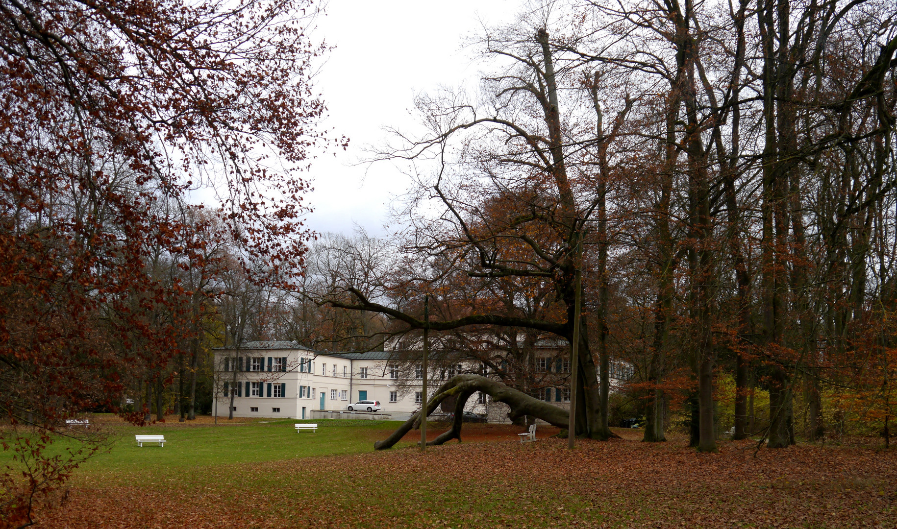 Dörnbergpark -/- Regensburg