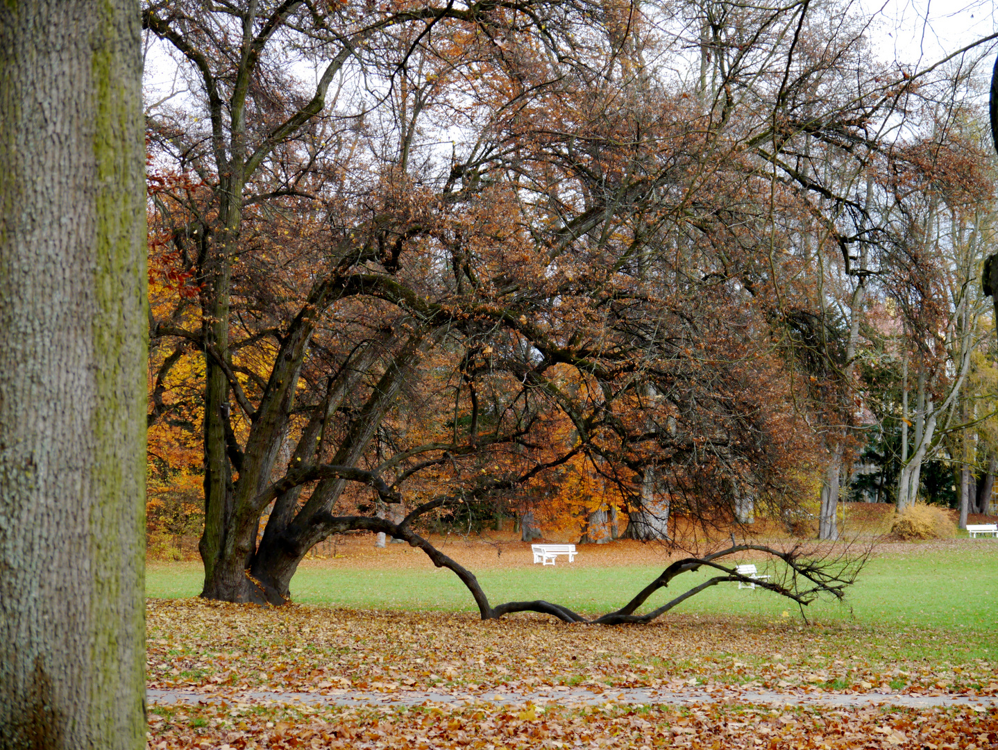 Dörnbergpark Regensburg