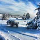 Dörnwasserlos unter Schnee