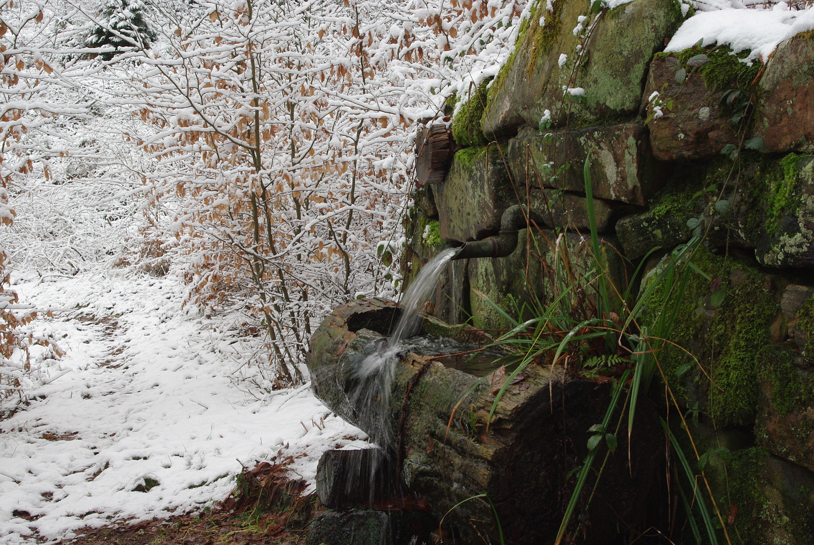 Dörrbrunnen