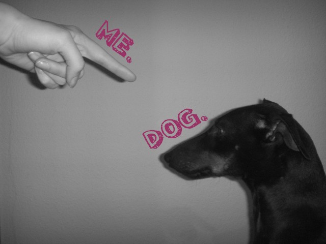 Dog and Me