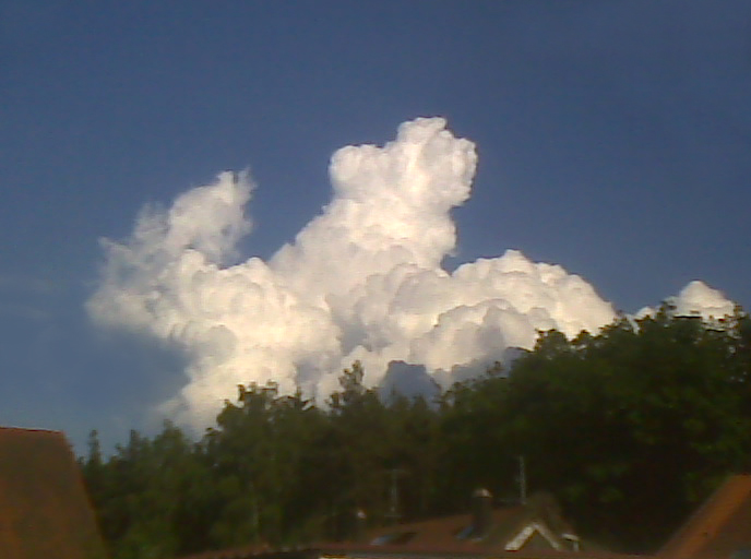 Dog-Cloud