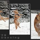 Dog - Dancing