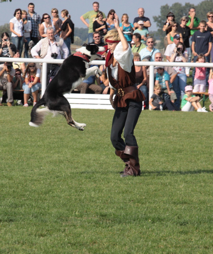 DOG DANCING