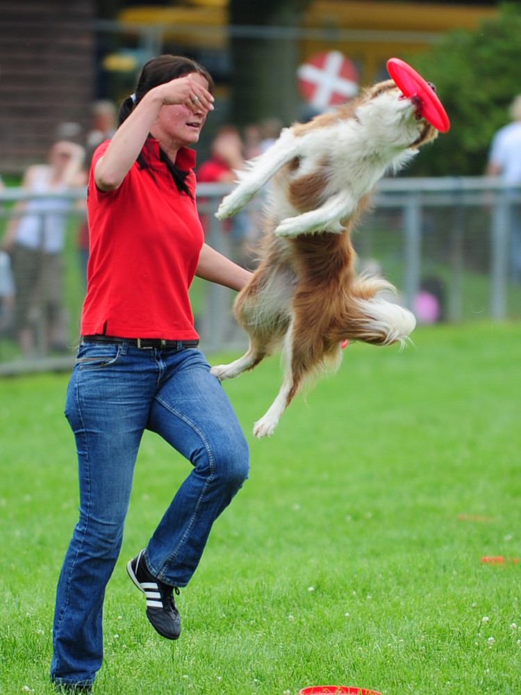 Dog Day Düsseldorf 3