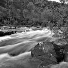 Dog Falls/ River Affric- Cannich - Schottland