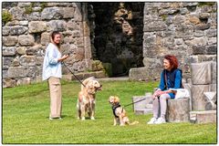 Dog friendly #2