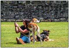 Dog friendly #3
