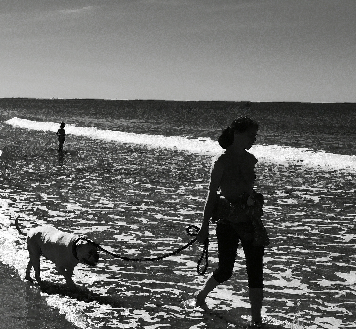 Dog on Beach