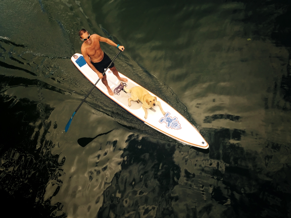 dog paddle an der Alten Donau