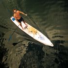 dog paddle an der Alten Donau