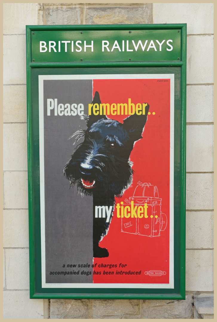 dog poster