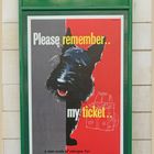 dog poster