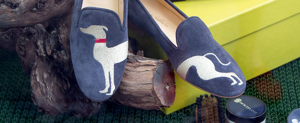 Dog shoes