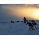 [ dog sled expedition - Yukon ]