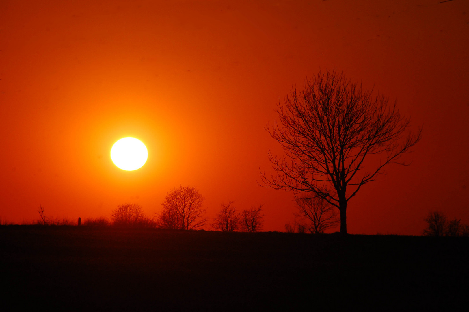 dog walk sundown