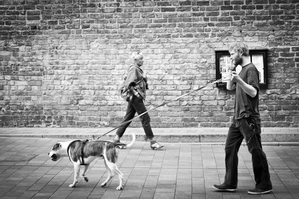 Dog - walker