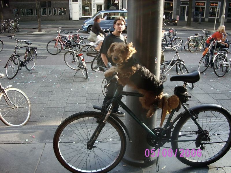 Dogbike