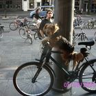 Dogbike