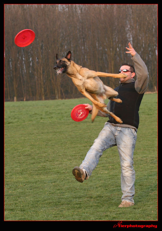 Dogfrisbee