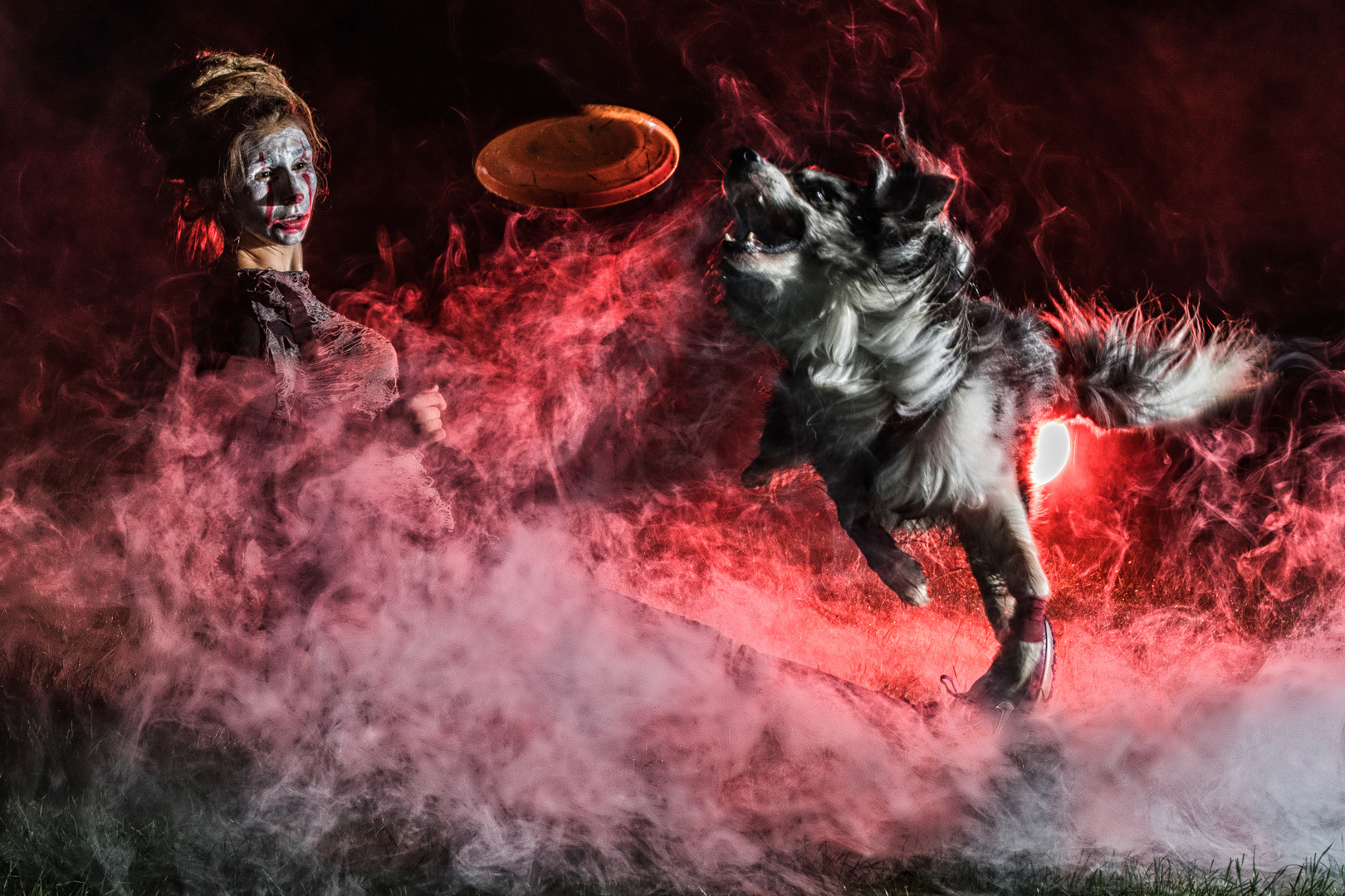 DogFrisbee, Halloween