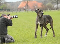 "Doggen- Shooting "