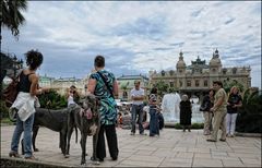 Doggentusse mit Doggencasanova auf dem Weg ins Casino von Monte Carlo