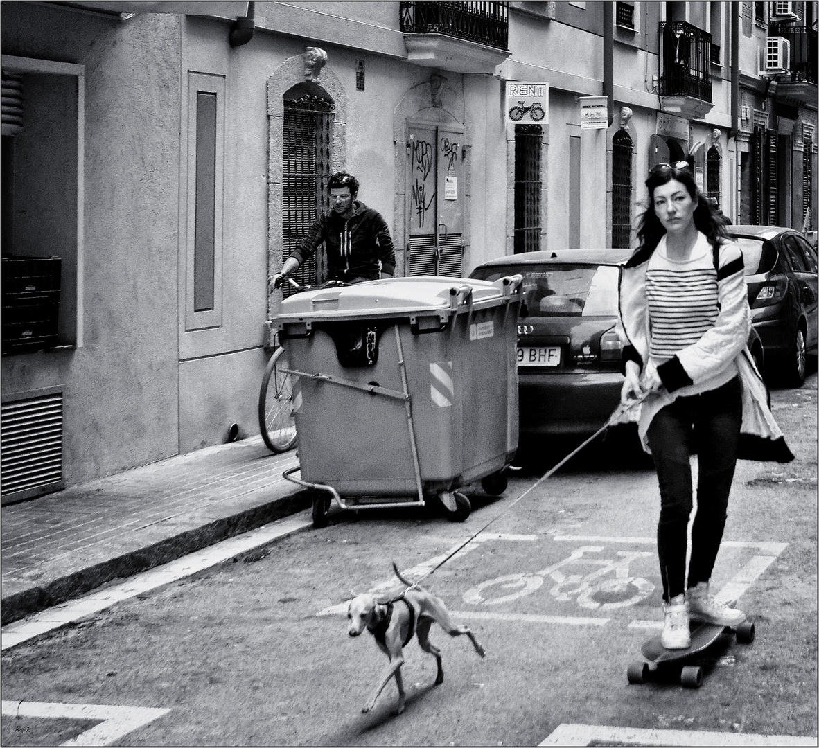 doggy-skate