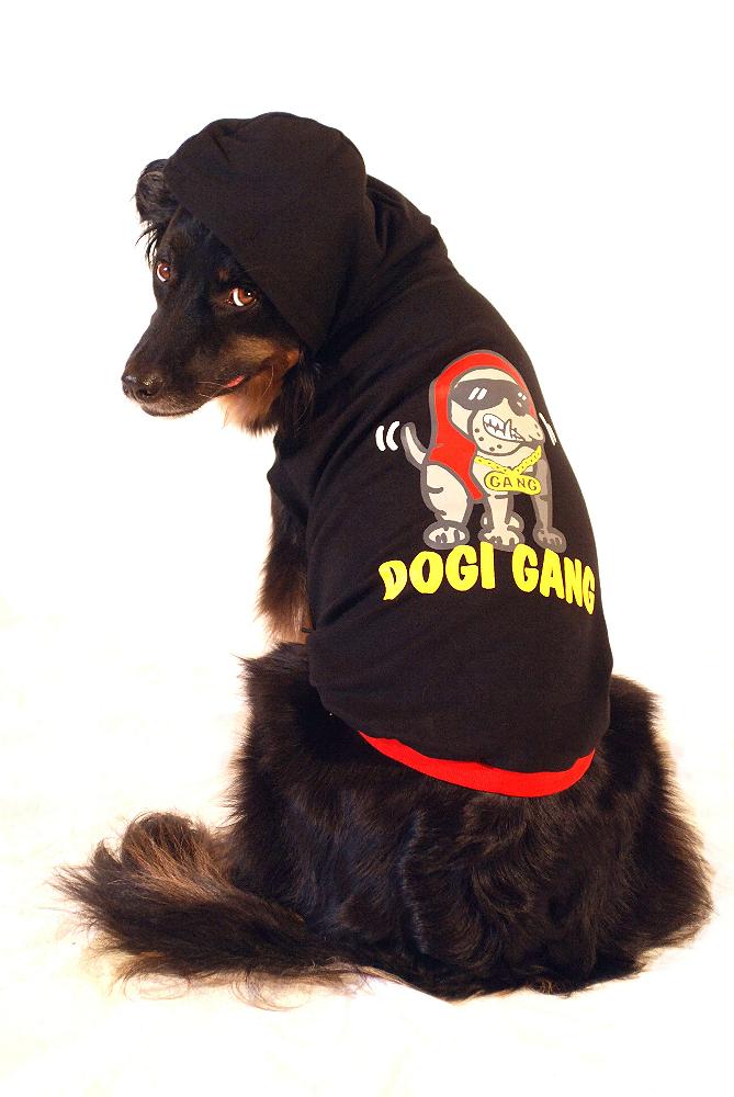 Dogi Gang