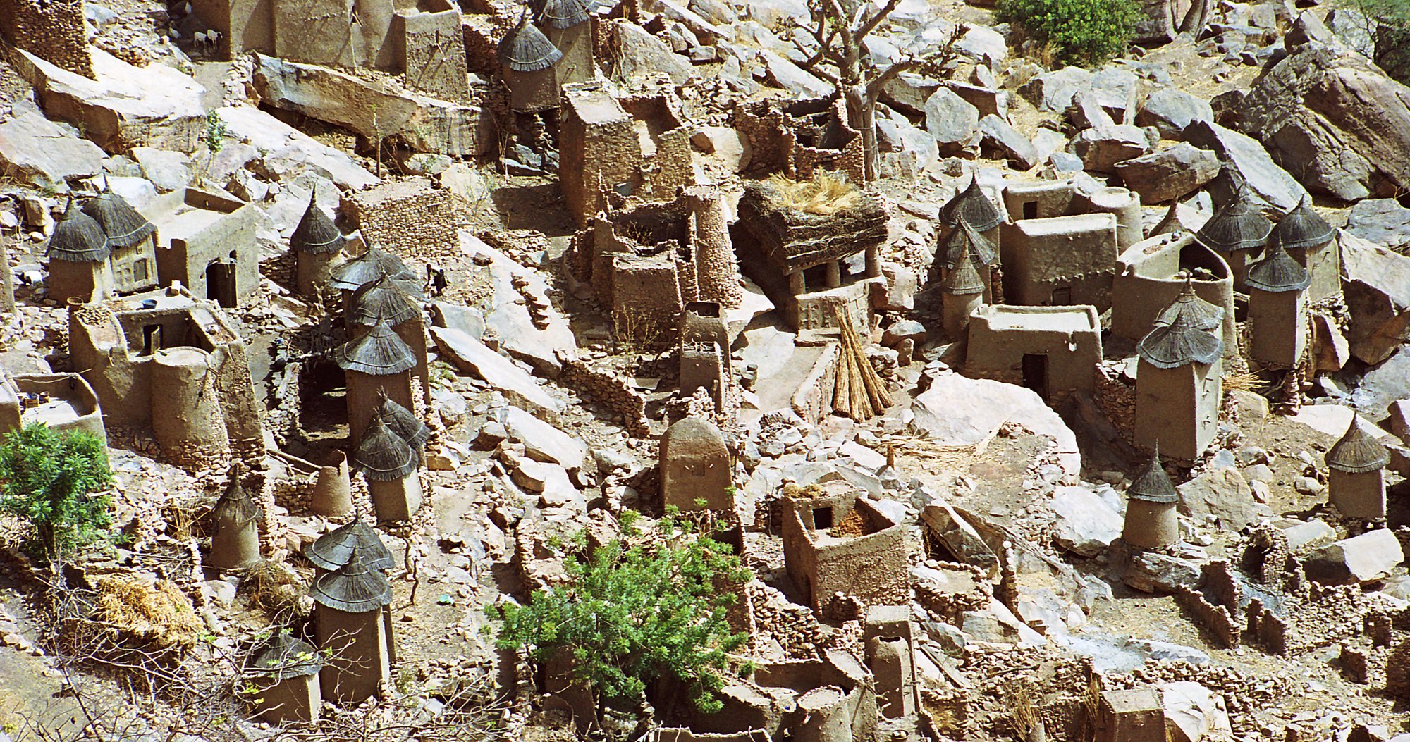 Dogon