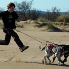 Dogs at the Beach 001