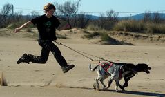 Dogs at the Beach 001