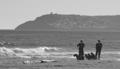 Dogs at the Beach 002