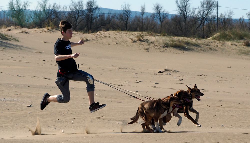 Dogs at the Beach 003