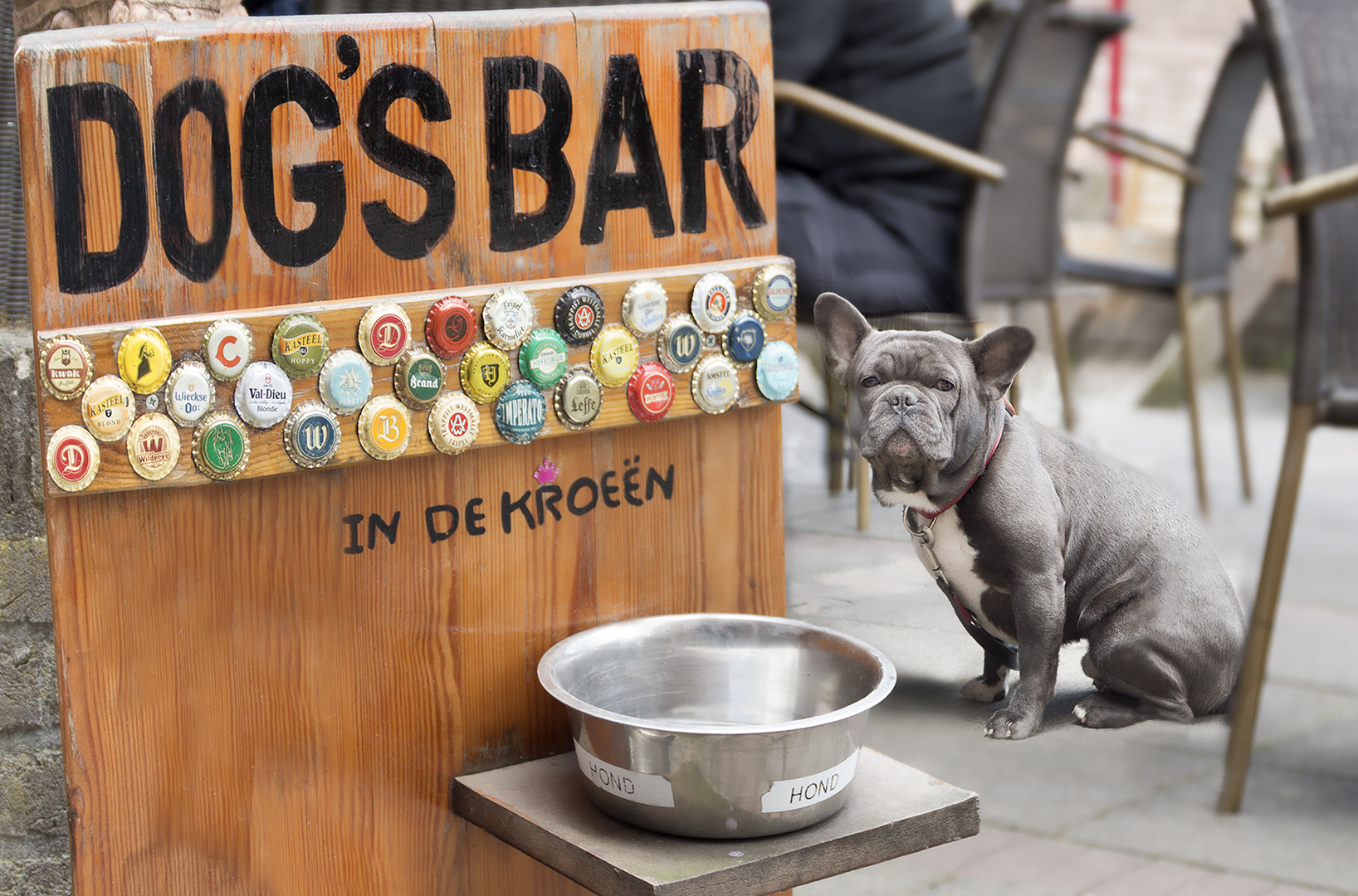 Dog´s Bar