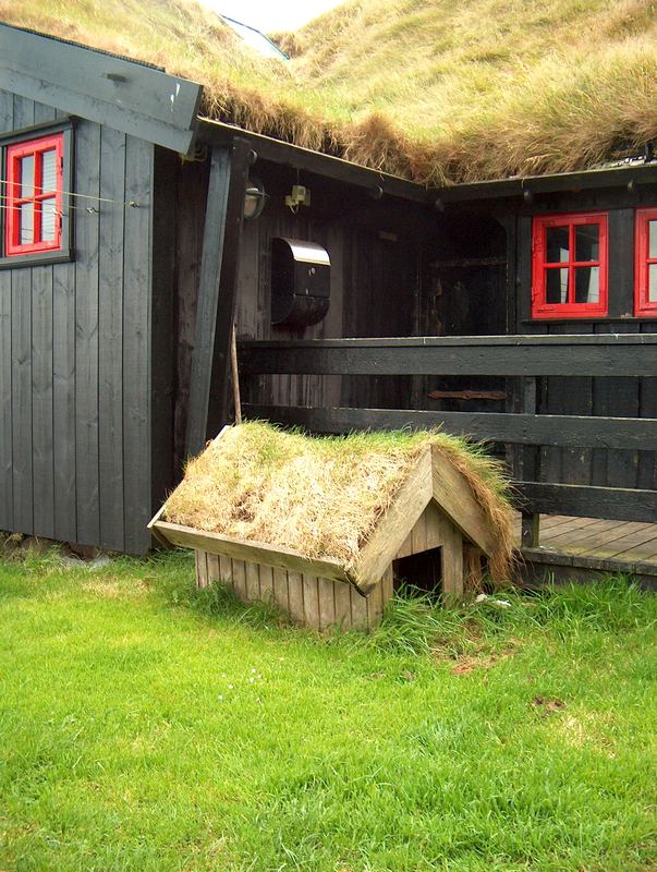 Dog's Bed - Isole Faroe