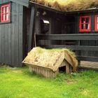 Dog's Bed - Isole Faroe