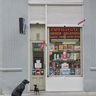 Dogs going shopping in Prague