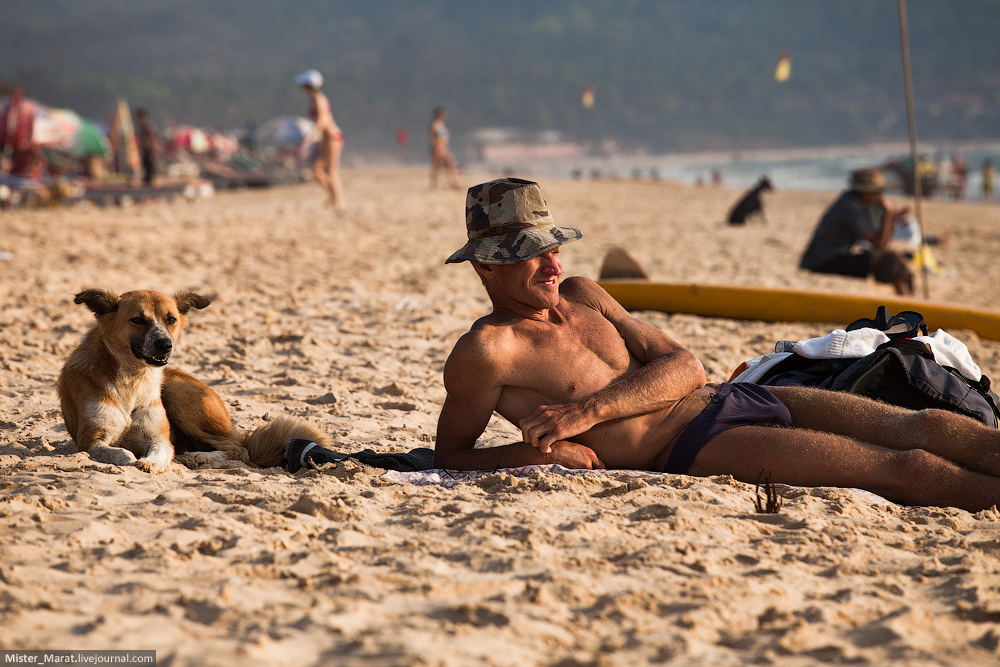 Dogs love tourists